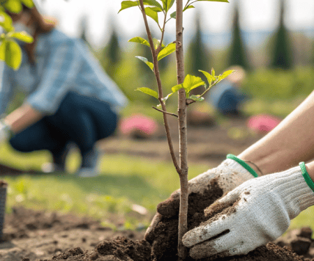 Ethical Sourcing and Corporate Responsibility