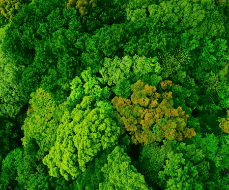 Sustainability and Environmental Policy