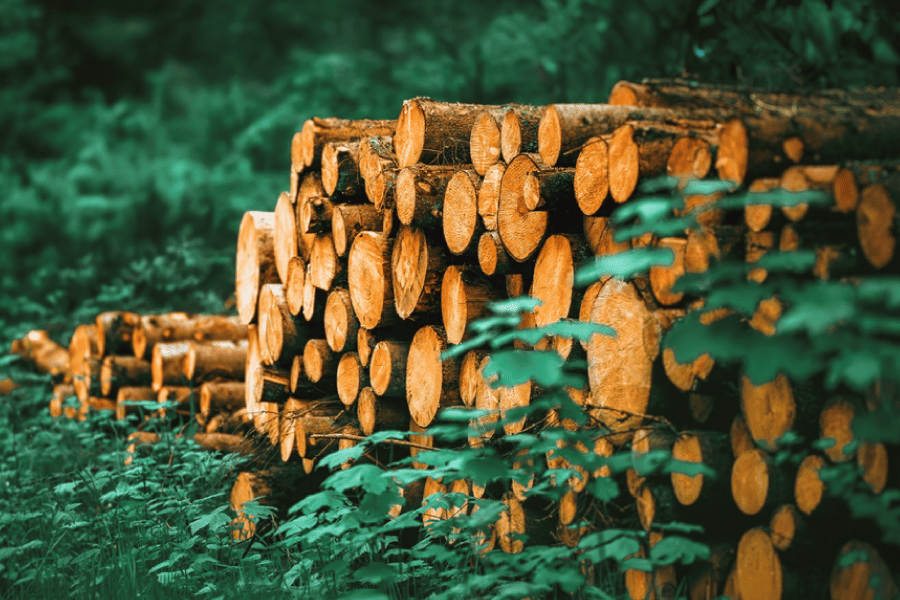 sustainable-sourcing